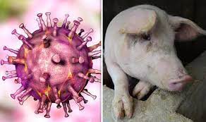 Kết quả phòng ngừa, đấu tranh với các hành vi làm lây lan dịch bệnh tả lợn Châu Phi