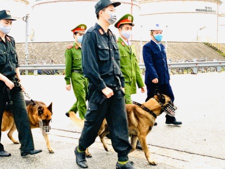 Công an tỉnh Quảng Ngãi: Quản lý, huấn luyện và sử dụng động vật nghiệp vụ