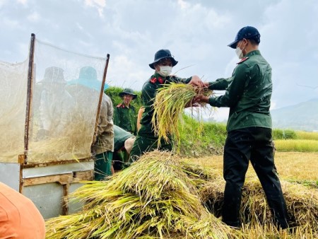 Công an huyện Sơn Tây “chạy lúa” giúp người dân trước giờ mưa dông
