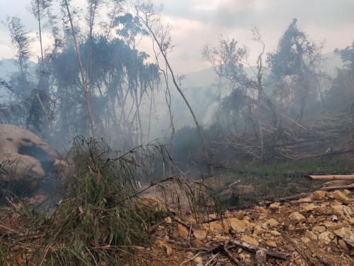 Làm thế nào để hạn chế cháy rừng do đốt thực bì từ nương rẫy gây ra