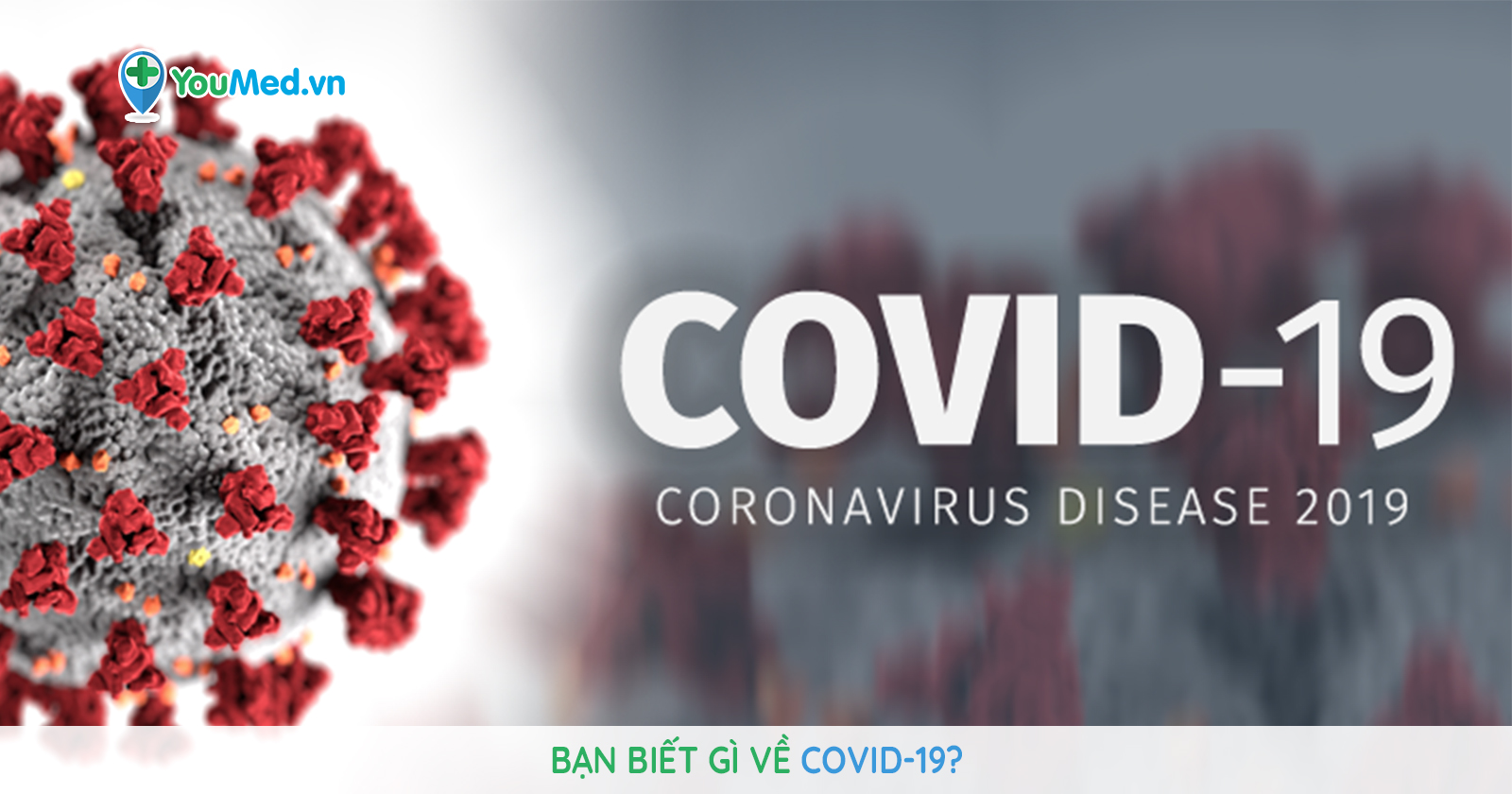 ​Quảng Ngãi tập trung tháo gỡ khó khăn, vướng mắc cho người dân, doanh nghiệp do ảnh hưởng, tác động của dịch bệnh Covid-19