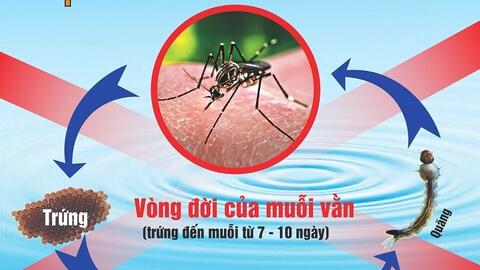 Dấu hiệu nhận biết và cách phòng bệnh sốt xuất huyết