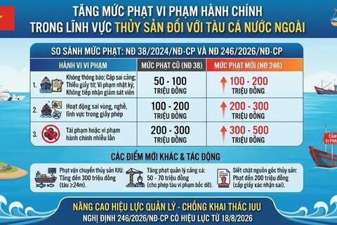 Những điểm mới đáng chú ý của Nghị định 246/2026/NĐ-CP  ngày 29/6/2026 của Chính phủ quy định về xử phạt vi phạm hành chính  trong lĩnh vực thủy sản, có hiệu lực từ ngày 18/8/2026