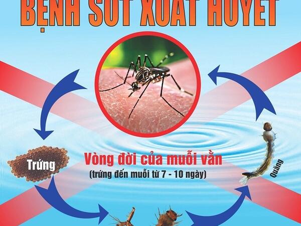 Dấu hiệu nhận biết và cách phòng bệnh sốt xuất huyết