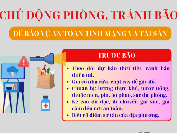 Chủ động trong công tác phòng, tránh bão, đảm bảo an toàn tính mạng và tài sản