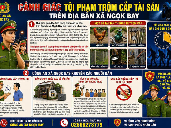 Cảnh báo tội phạm trộm cắp tài sản trên địa bàn xã Ngọk Bay