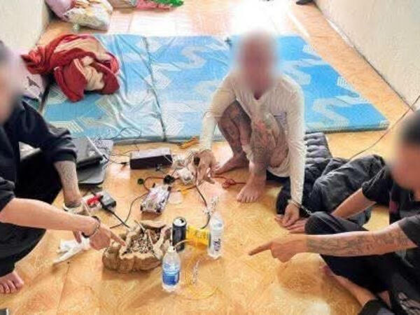 Cảnh báo tình trạng trẻ hóa tội phạm và tệ nạn ma túy trên địa bàn tỉnh Quảng Ngãi